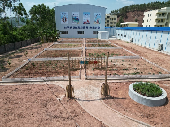 开心农场.jpg